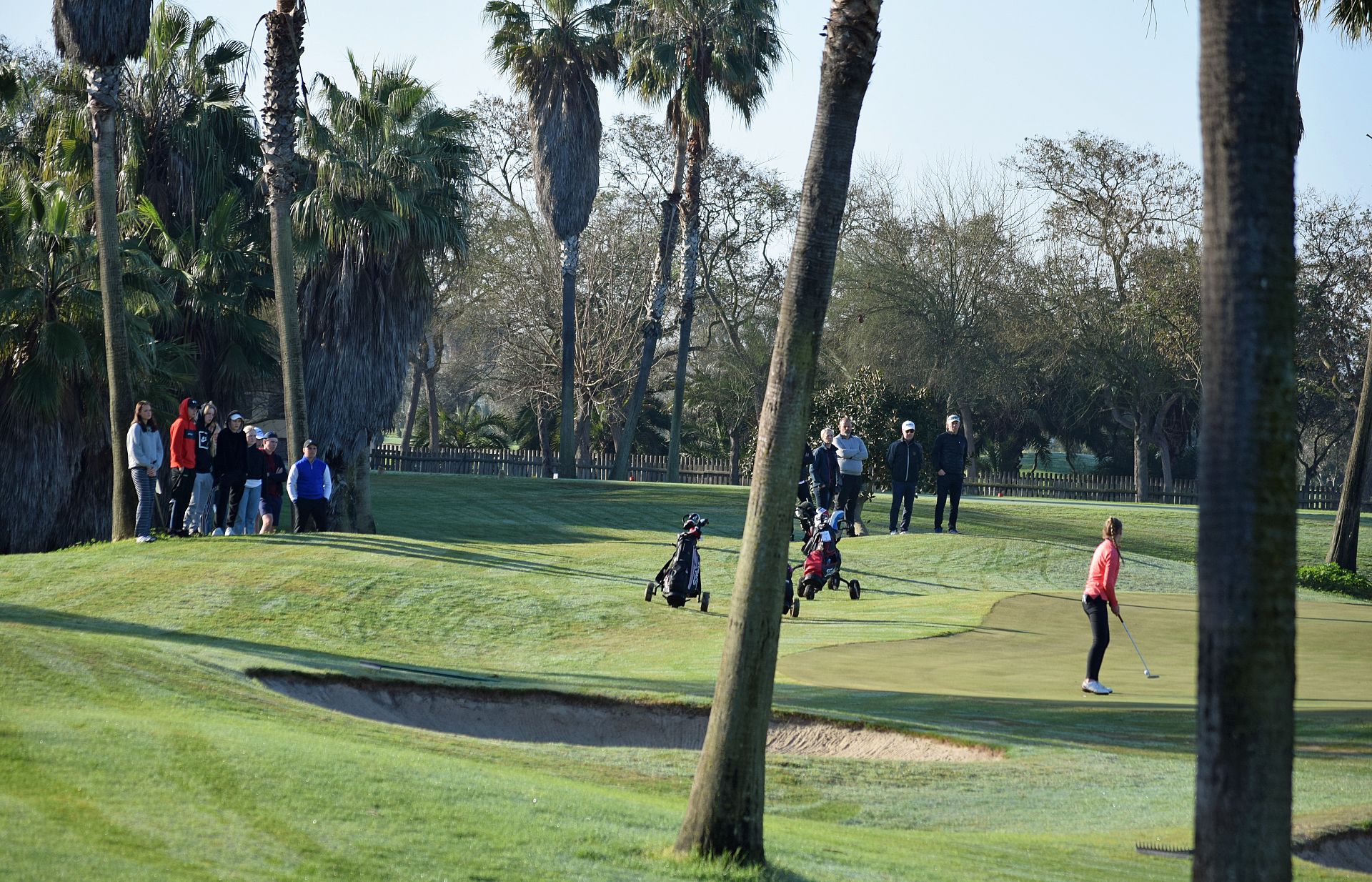 Decretos del Gobierno de España relacionados con la actividad deportiva