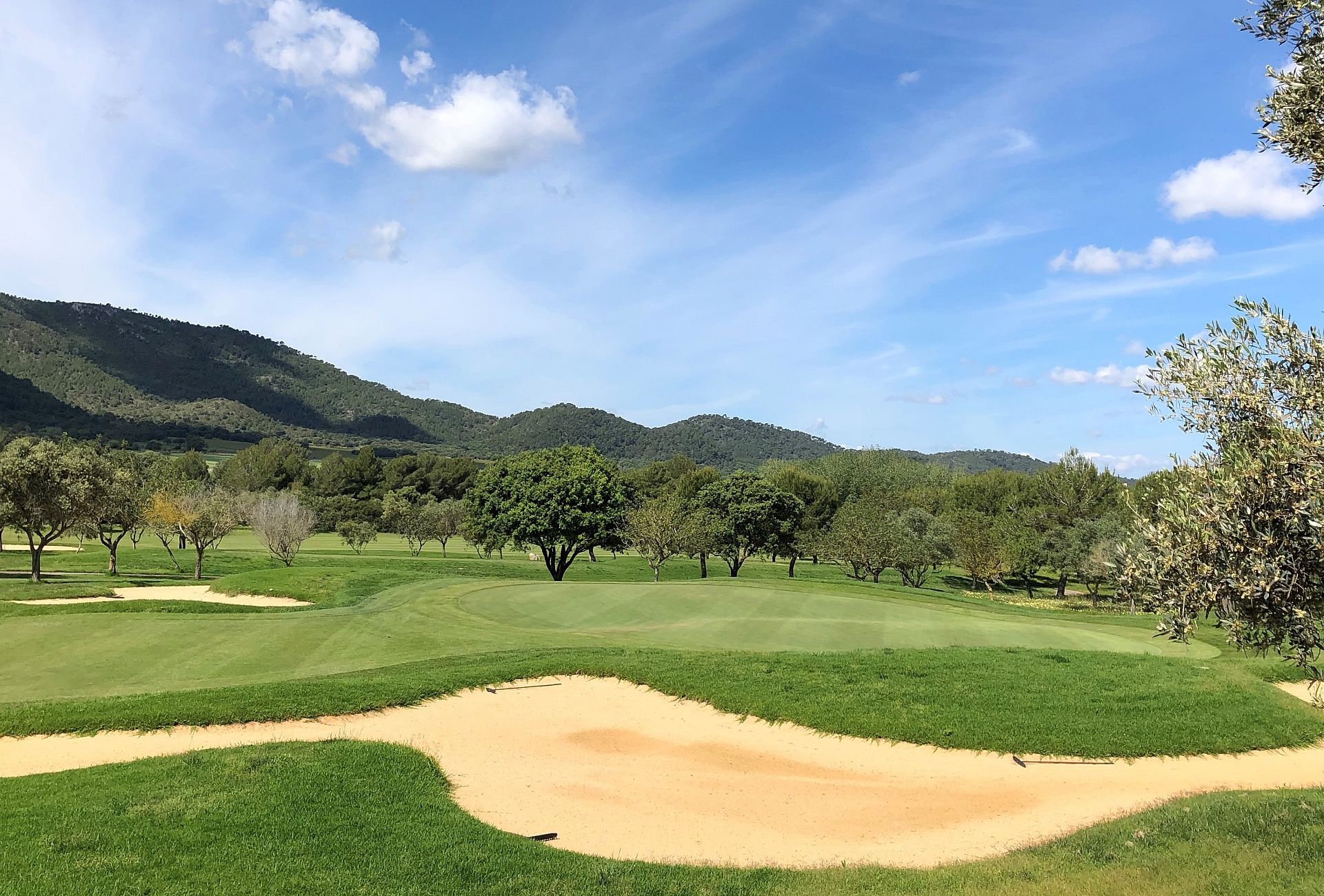 Puesta en marcha del Circuito de Profesionales 2025