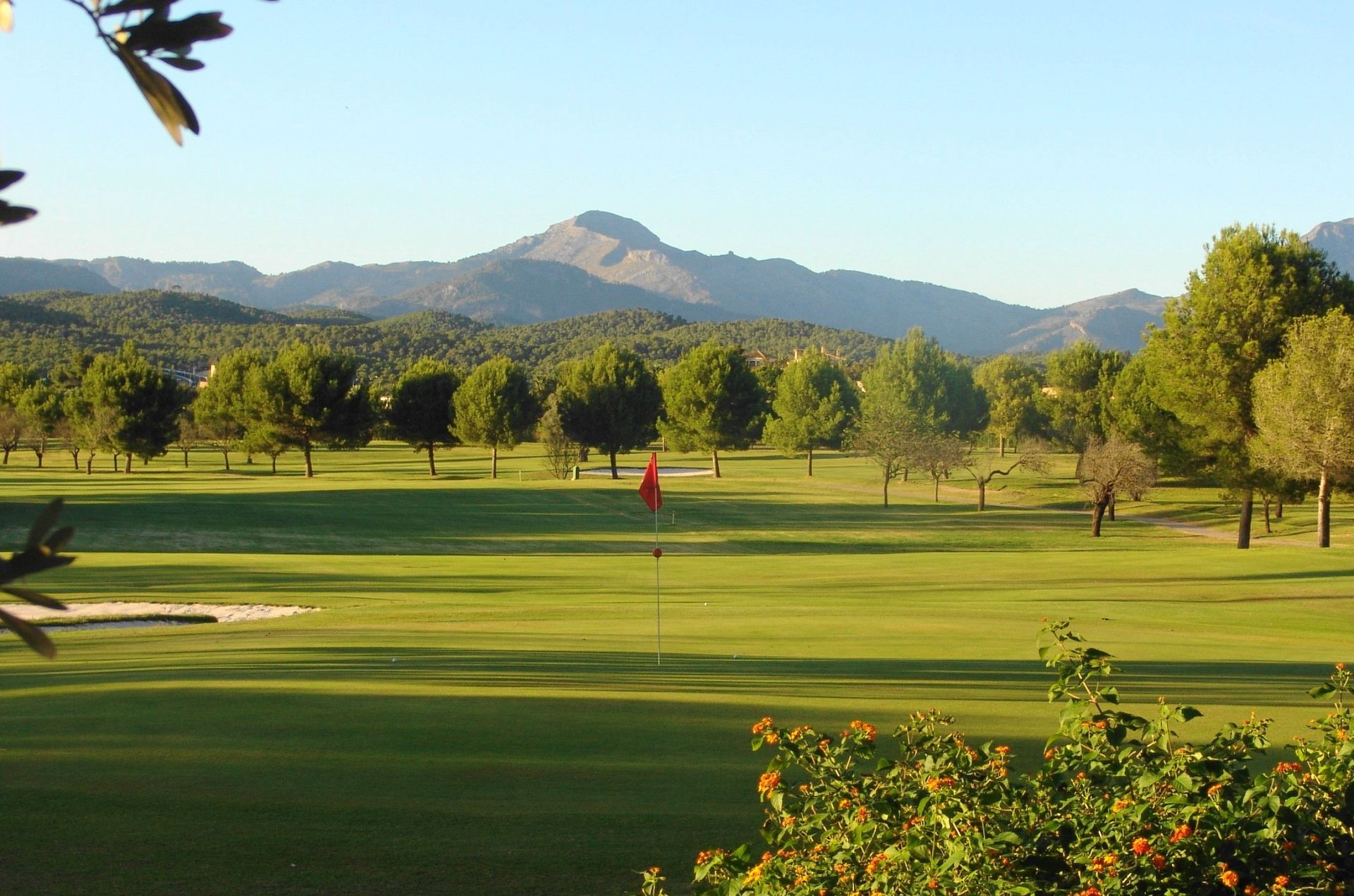 Campeonato de Baleares Mayores de 50 Años Masculino