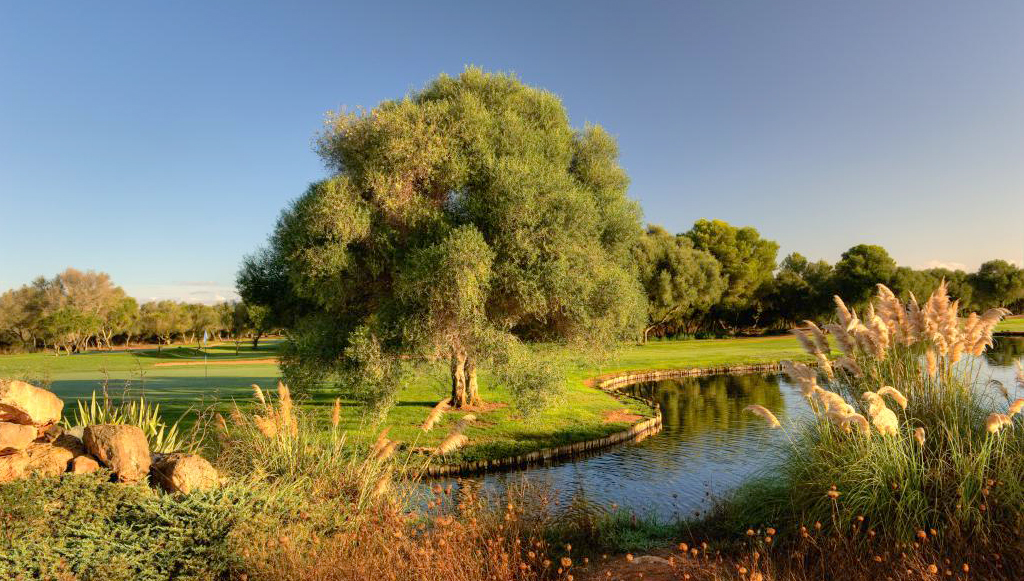 Puesta en marcha del Circuito Senior Verano 2018