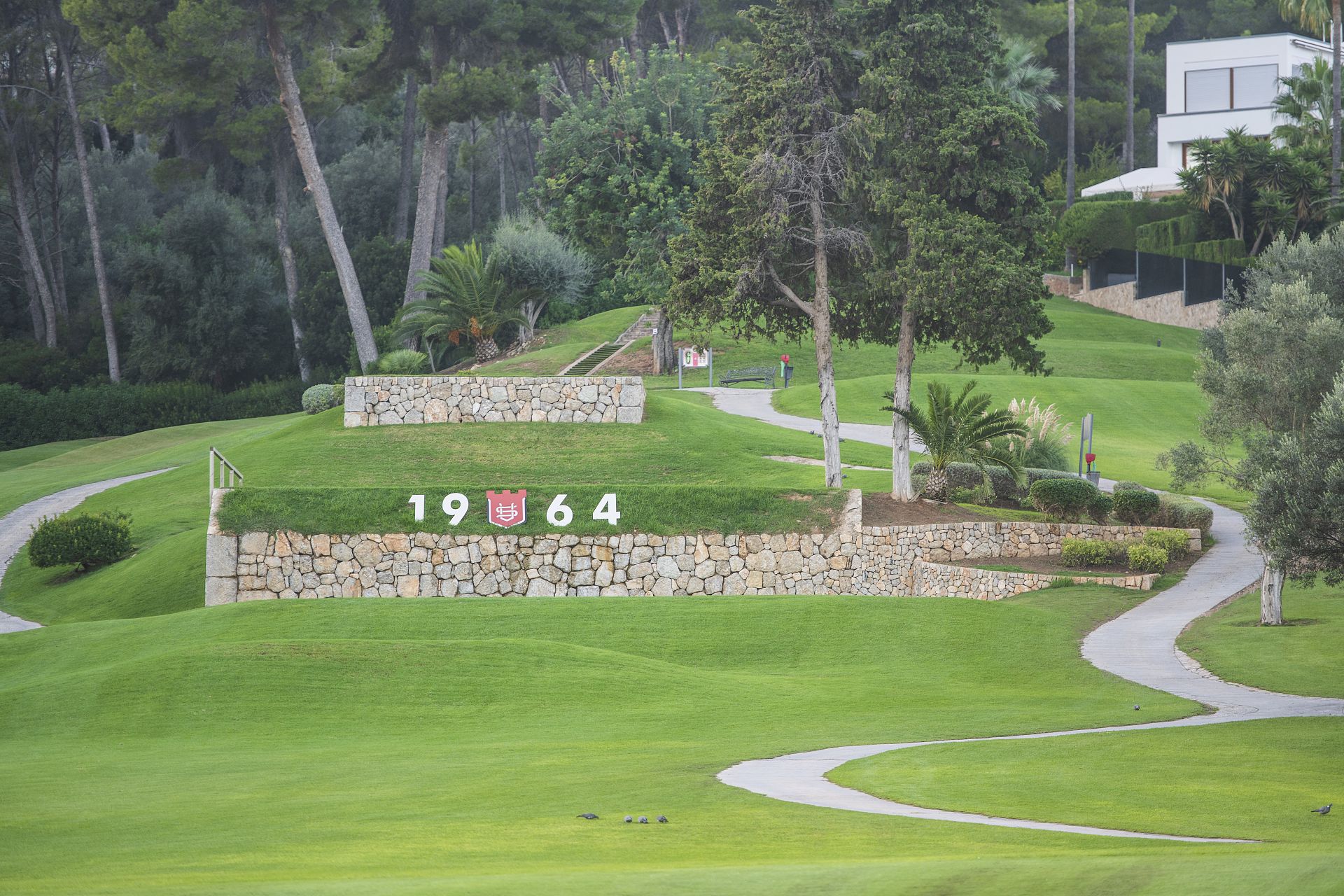 Campeonato de Baleares Mayores de 65 años