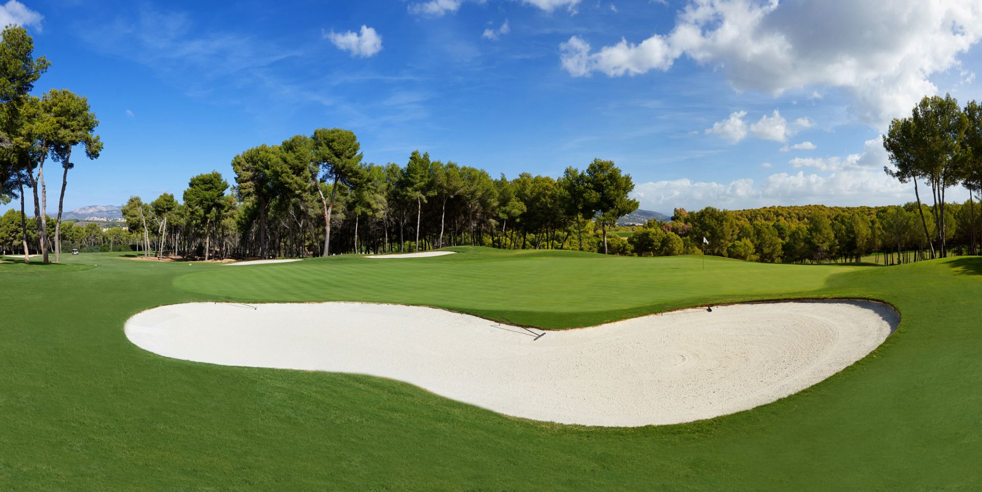 Final Circuito Senior de Invierno 2019